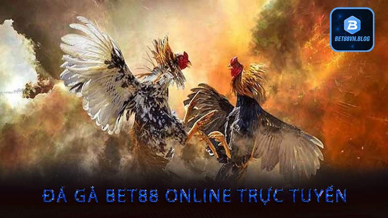 Đá gà bet88 online trực tuyến